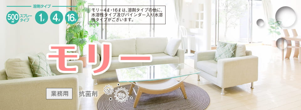 モリーメインビジュアル