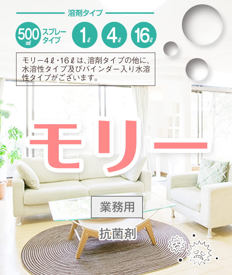 モリーメインビジュアル